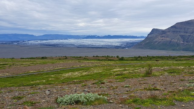 Islandia, 17 días..."sin sus noches" Julio 2022 - Blogs de Islandia - 5 JULIO/22 PARQUE NACIONAL SKAFTAFELL, LAGUNAS GLACIARES Y VESTRAHORN (3)