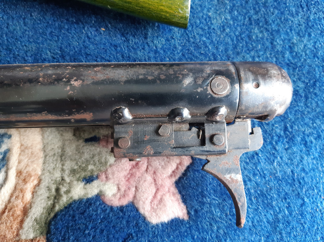 454797130_1174566746989910_8509088022952233328_n