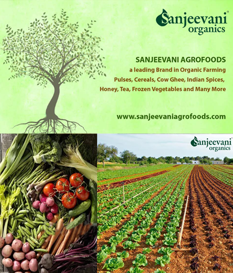 Sanjeevani Organic Farming and frozen vegetable / www.barsanamagic.com