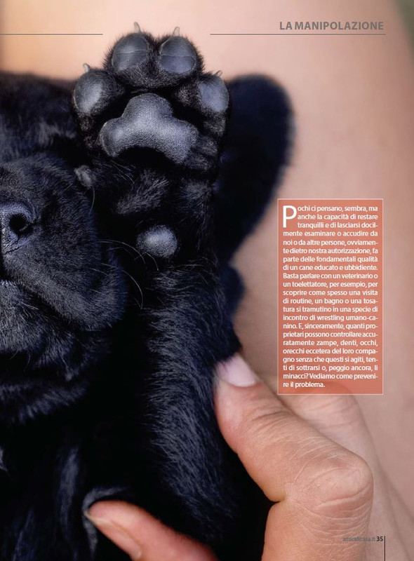 Il M C Apr-Mag 2023 (6)