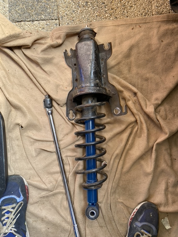 42D25D66-F7DF-480E-9F76-C06AC23F7C1A_1_105_c