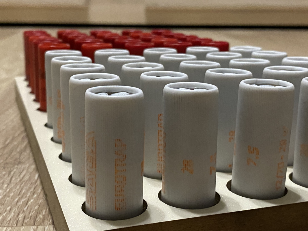 47540628-E460-4F51-B494-5CCAA62DFBF1