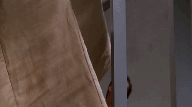 pivot-4511.gif