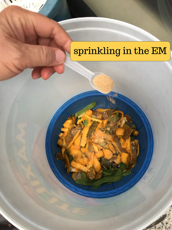 step-03-sprinkling-the-EM.jpg
