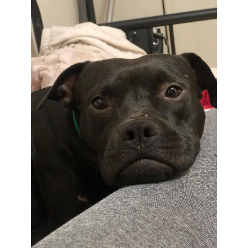 7F863897-EA87-4824-93A0-76C9C373607A