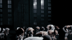 ezgif-com-resize-3.gif