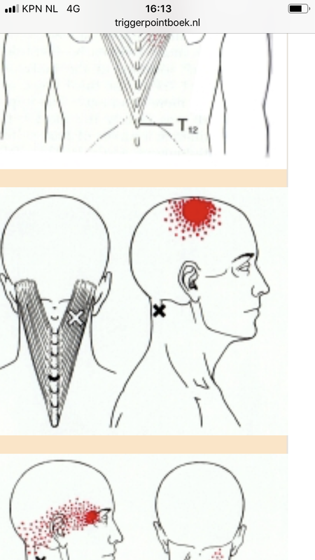 B075F324-B5D7-4040-8C9B-C2B038981F3A