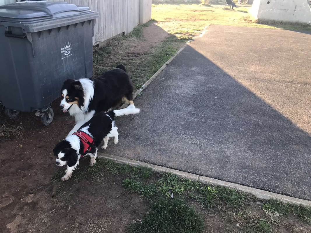 35B3C39B-0911-4523-9279-701A4853AD23