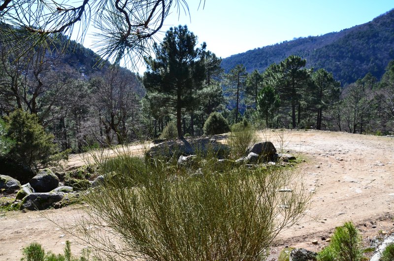 RUTA EMBALSE DEL HORCAJO Y GARGANTAS DEL VALLE DEL TIETAR-20-2-2016-AVILA - Paseando por España-1991/2016 (42)