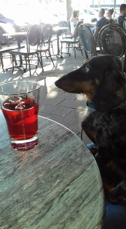 [Image: IMG-20250622-081914.jpg]