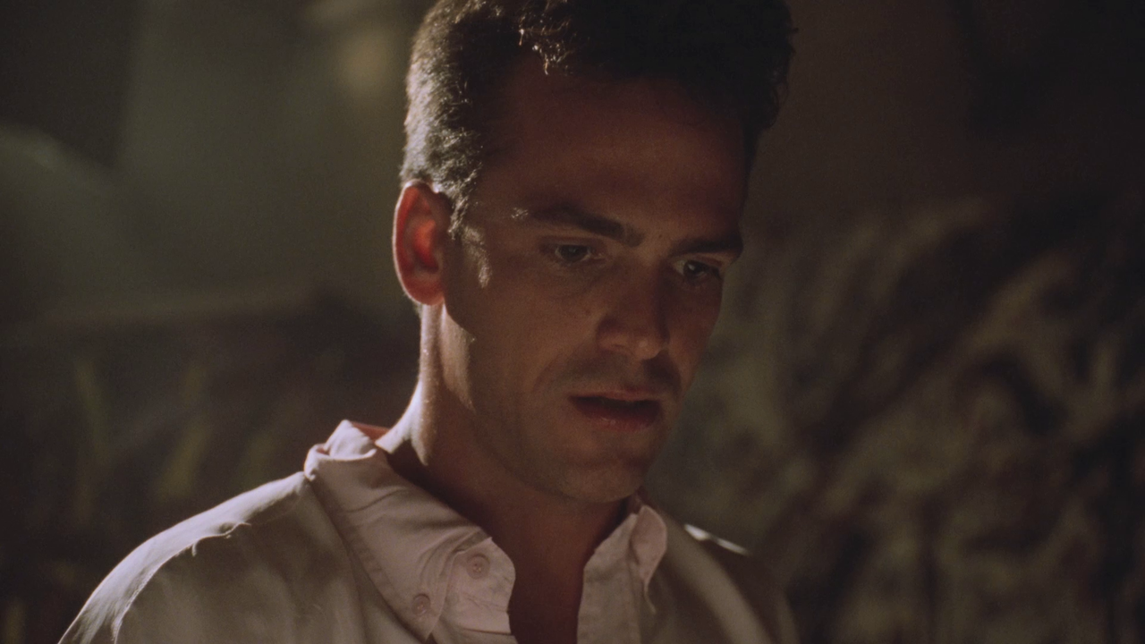 Амитивилль 7.Новое поколение.1993.BDRemux.1080p.mkv_20221230_232844.281