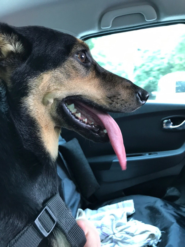 EA9665FD-7323-4AAD-9410-C1D1A192E2A4