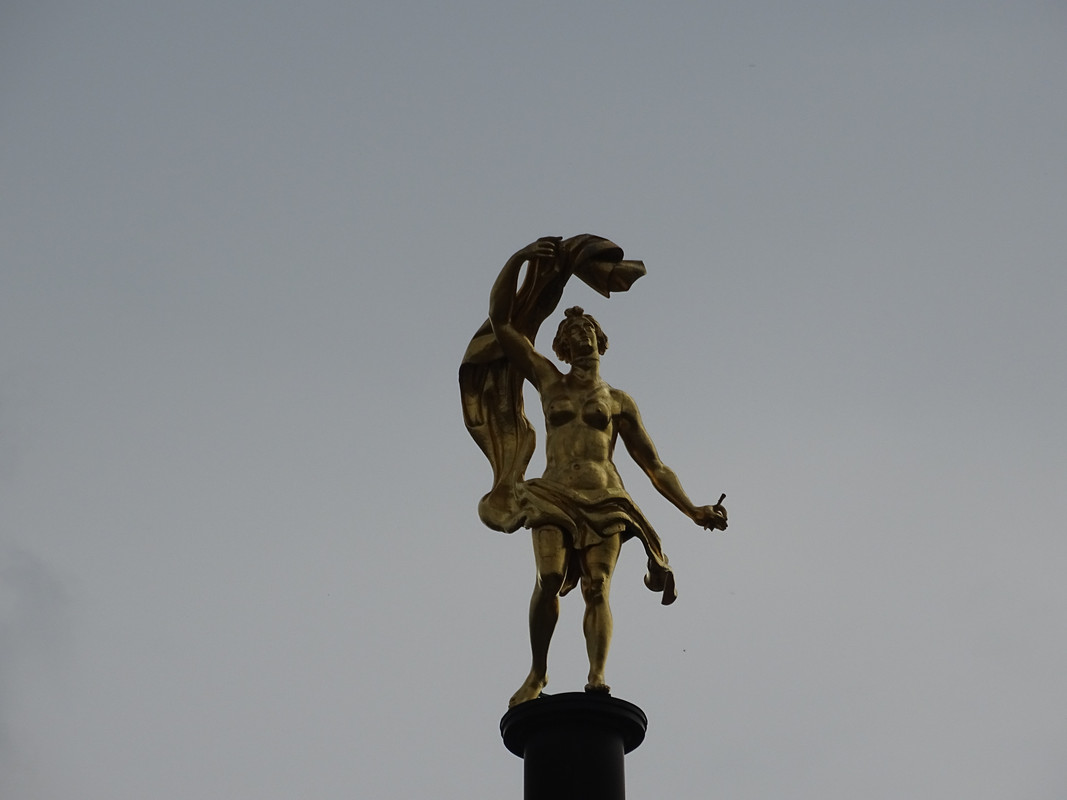 DSC00479.jpg