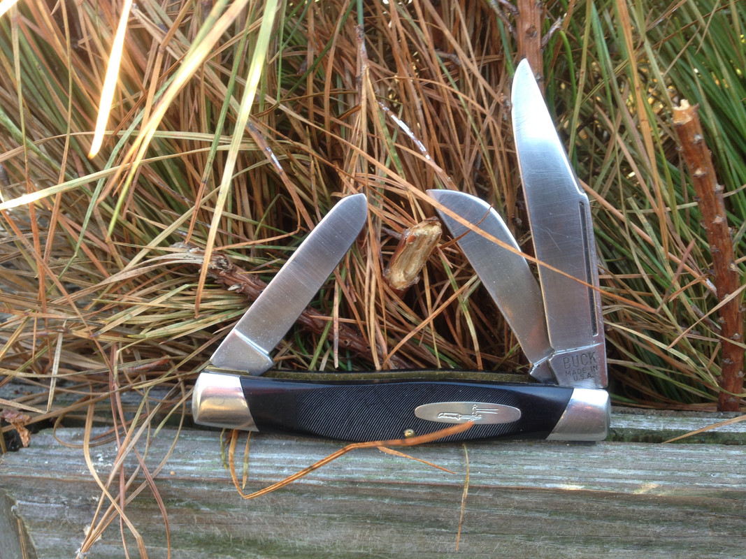 Buck_307_(early)_Knotts_Island_12-17-13.jpg