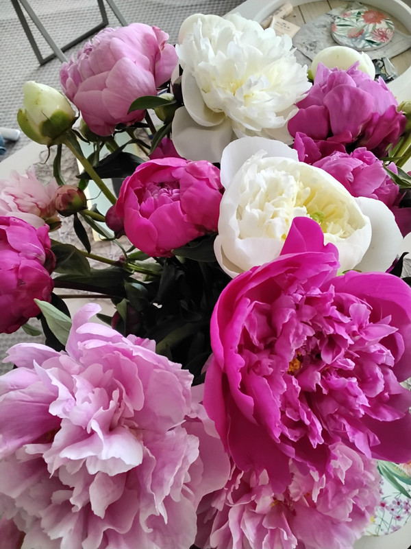 [Image: 20250522-093028.jpg]