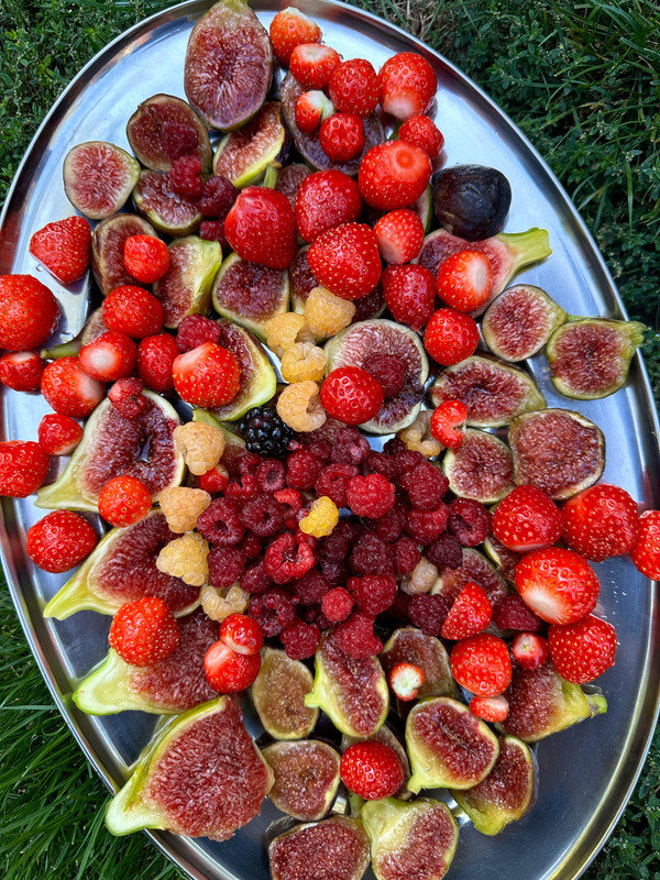 Figs and berries | Fig Fanatic