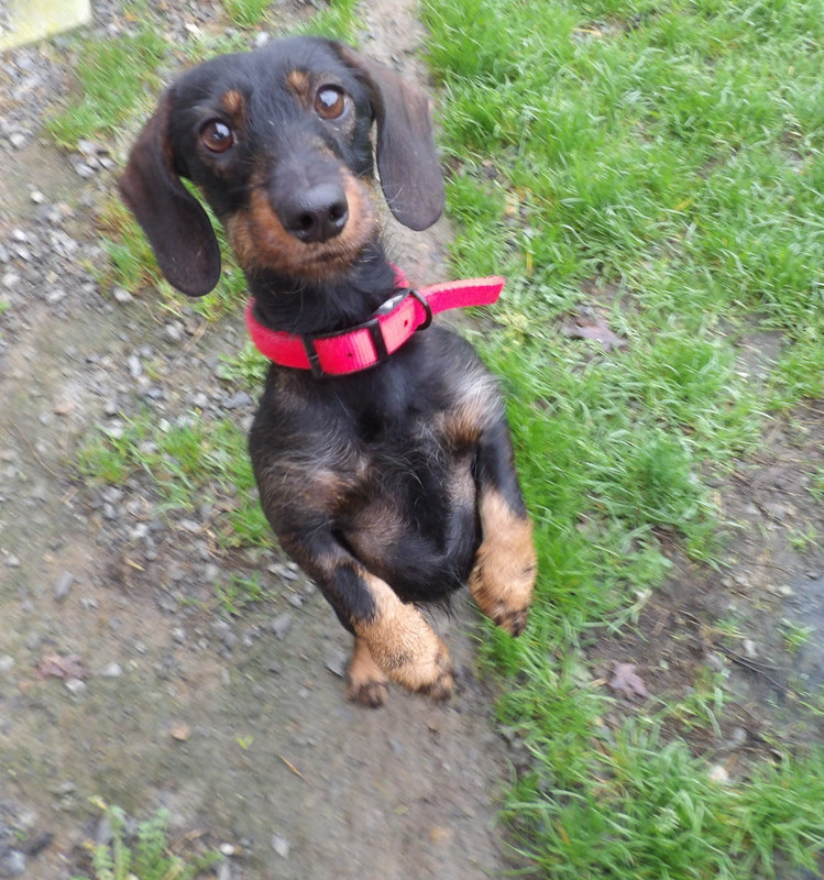 [Image: 125-0767.jpg]