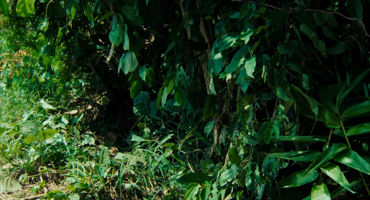 Rescue Dawn (2006).mkv_snapshot_00.14.45_[2018.03.10_18.50.49]