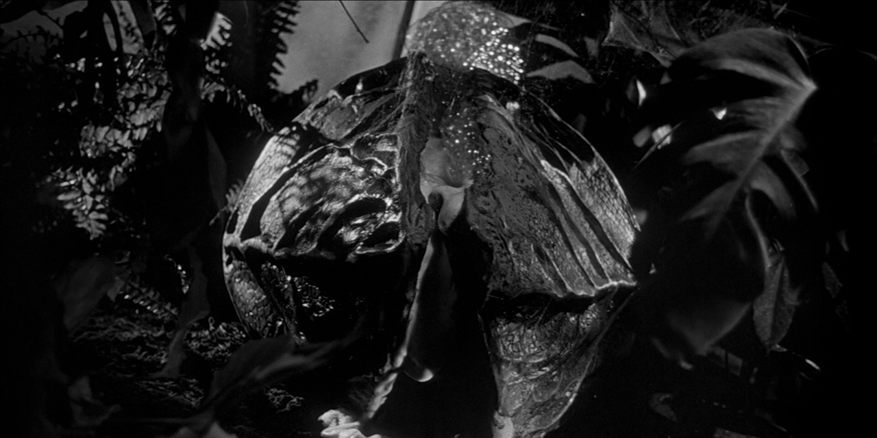 INVASION OF THE BODY SNATCHERS REFERENCE (2)