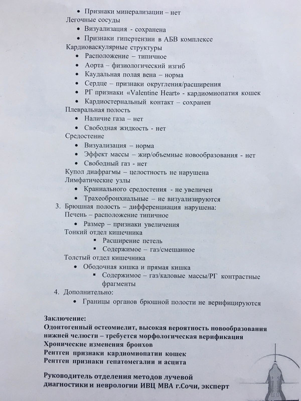 Рентген описание(1)