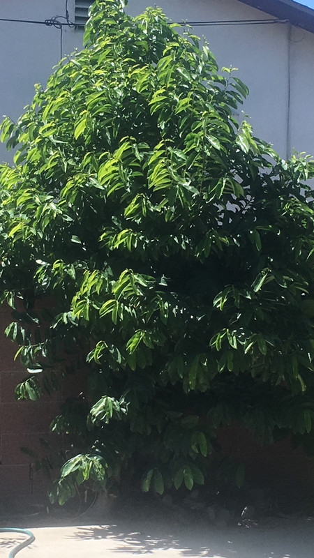 336722C8-C508-422A-9405-14CC18E8E2C1