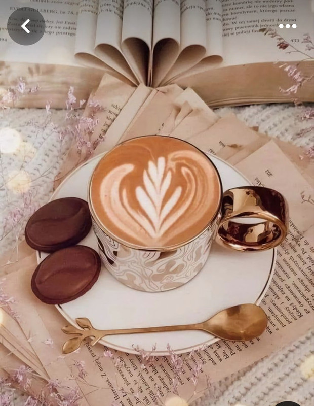 Screenshot_20240529_232423_Pinterest