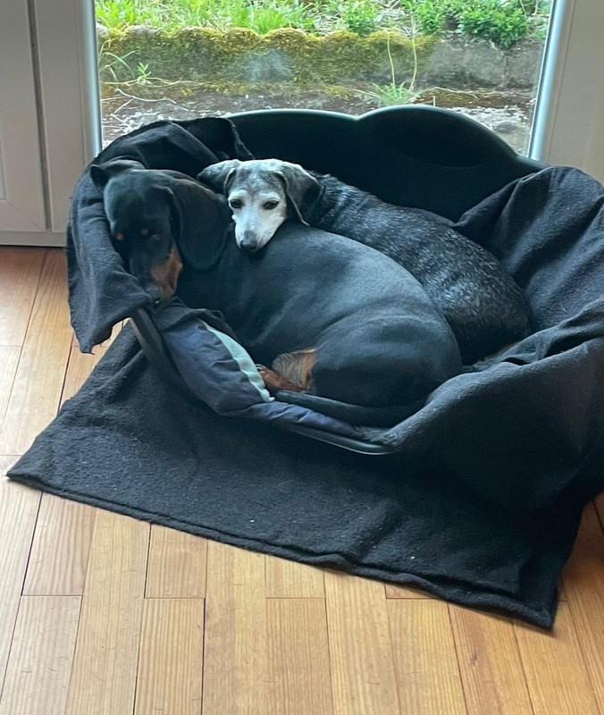 [Image: IMG-20240805-WA0022.jpg]