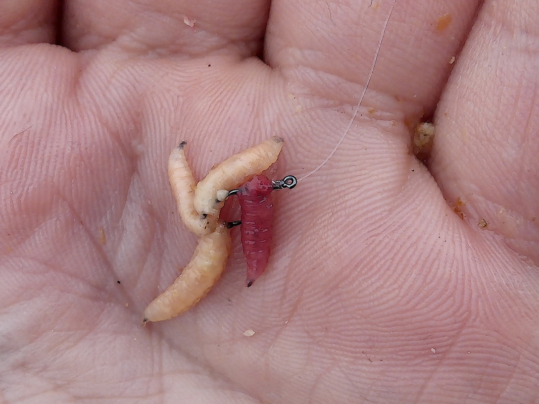 Кама ул. Смирнова 20.08.15 05