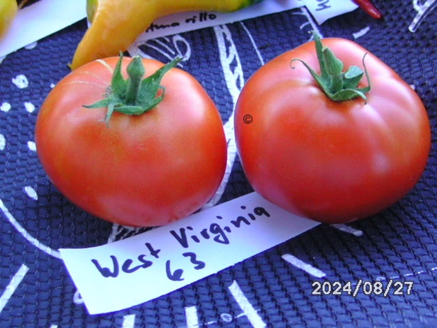 [Bild: BILD0366.jpg]