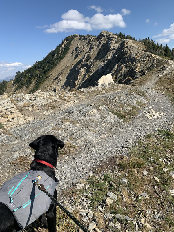 0DC2FC3D-FDC0-4478-B6D5-84A5D3E60A50