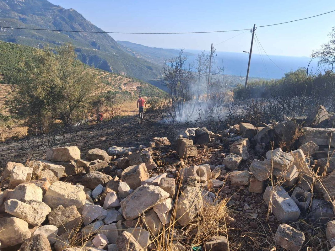 εικόνα_Viber_2025-09-10_17-45-15-139