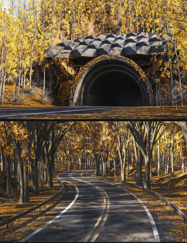 Forest Road