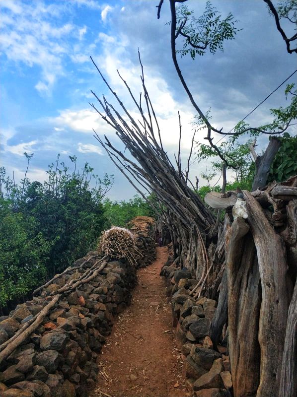 Etiopía. Tribus del sur, iglesias del norte y mucho mas - Blogs de Etiopia - Día 7 (12 octubre, viernes, 2018): Jinka – Tribu Mursi – Konso (5)