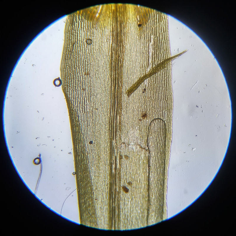 IMG 20250614 112805 HDR