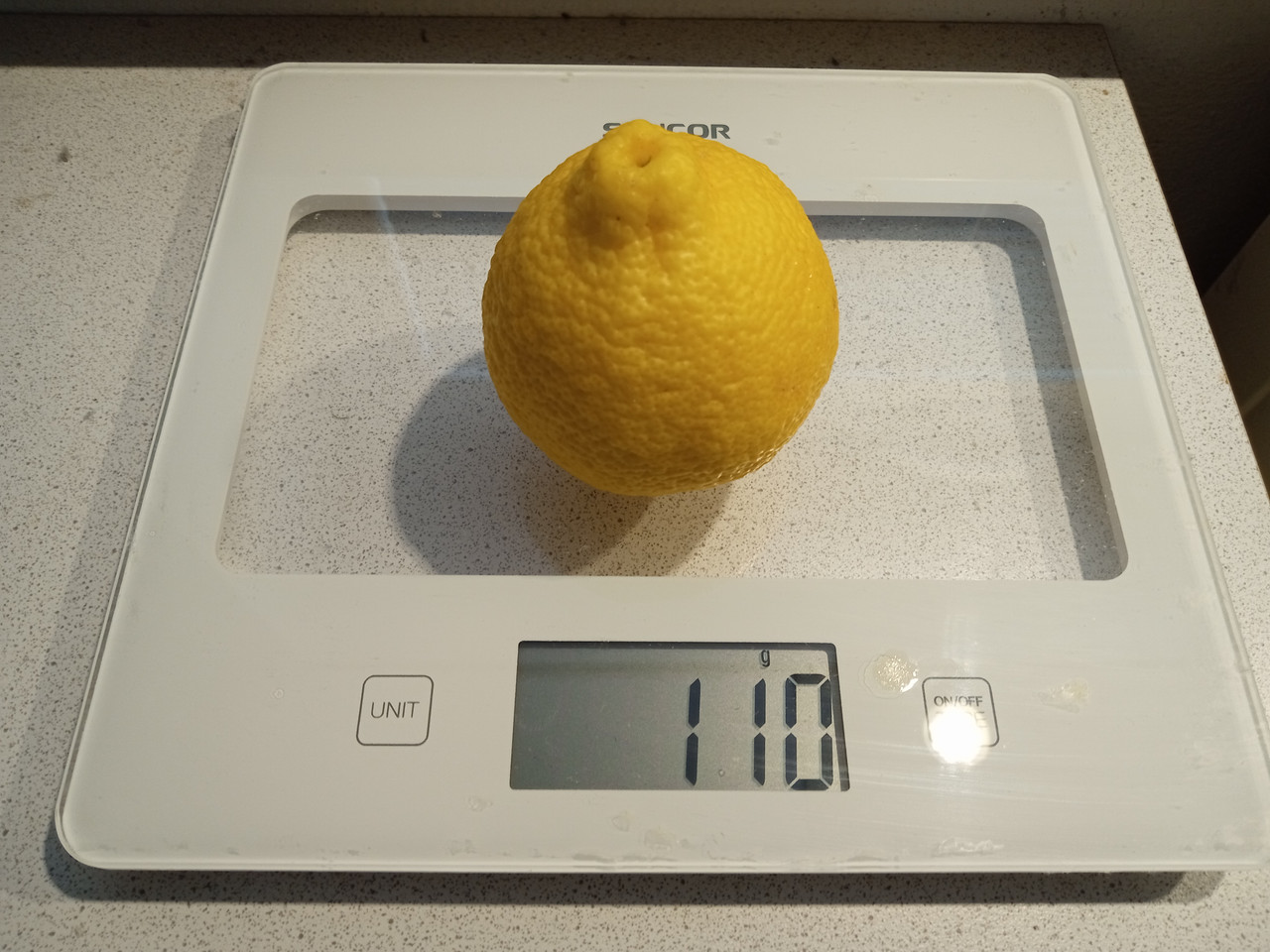 IMG 20260208 135620018 MFNR