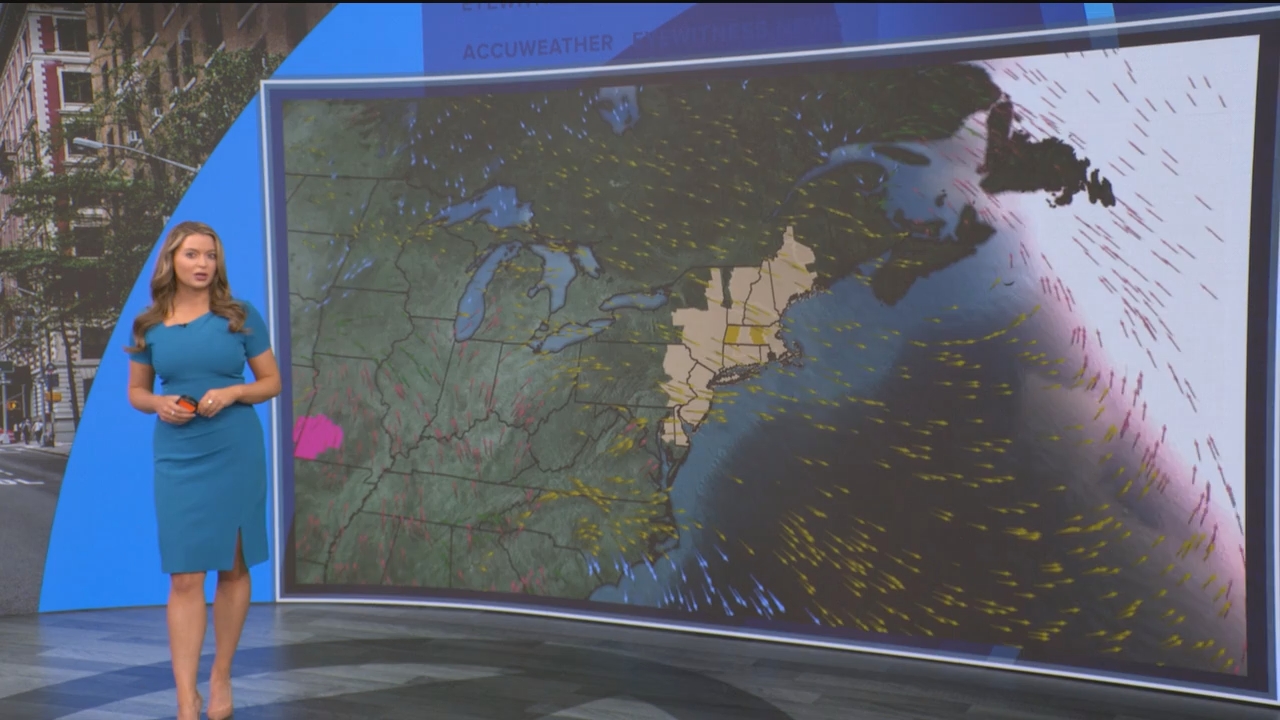 Eyewitness News Mornings at 10_20250307_15001600.ts_snapshot_19.07.378