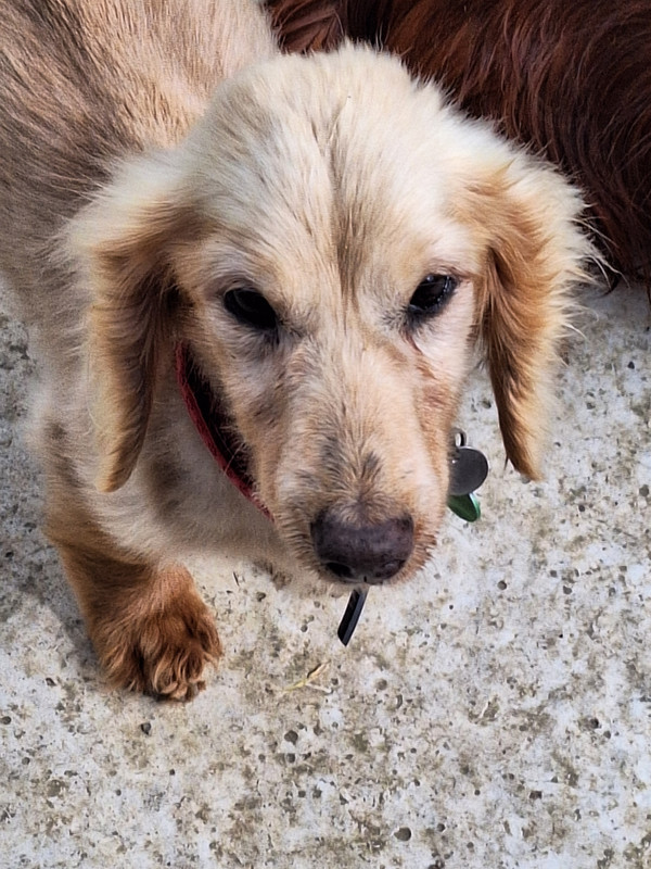 [Image: 20240415-114720.jpg]