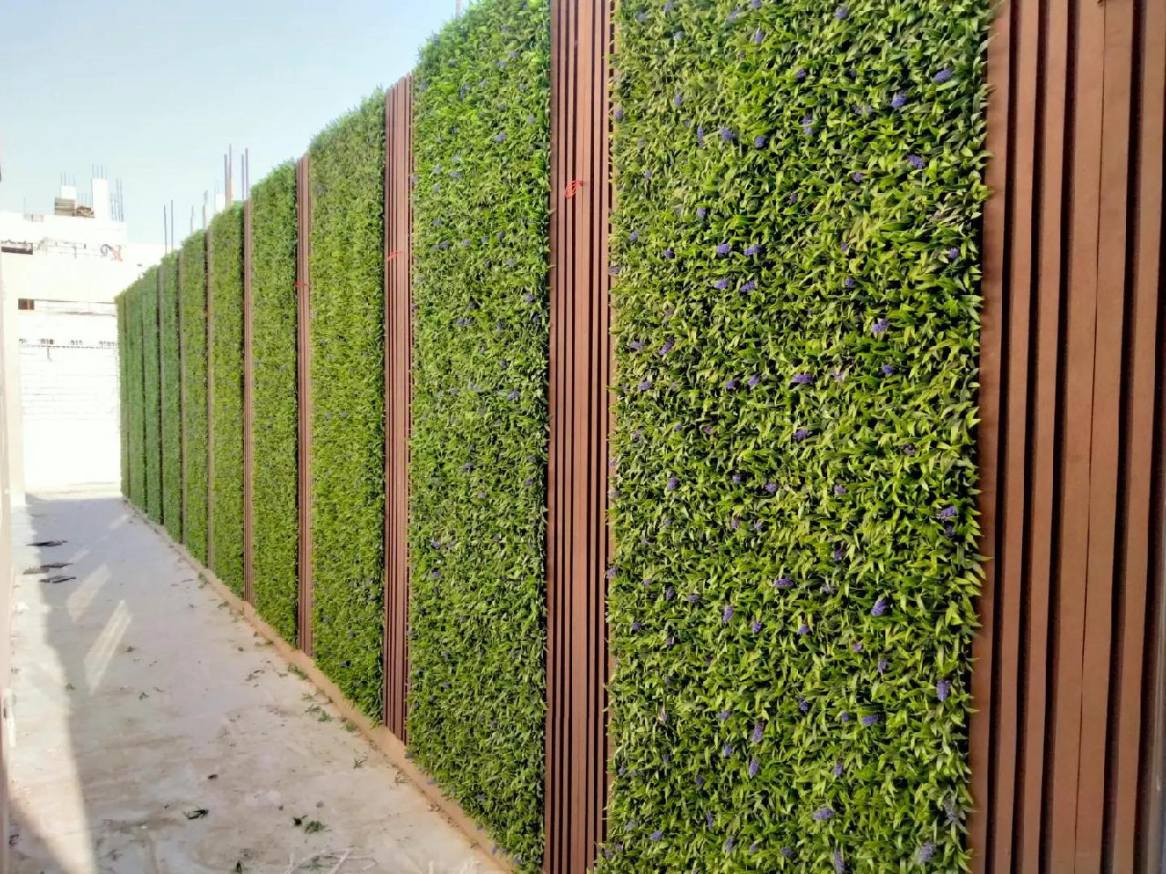 ممرات حديقة