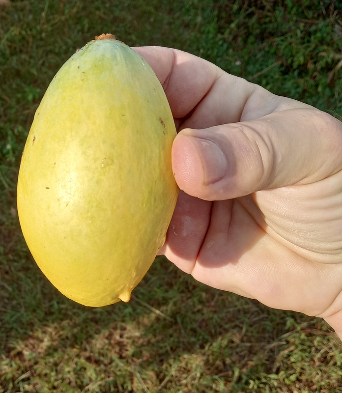 IMG_20240530_182824667_HDR~2