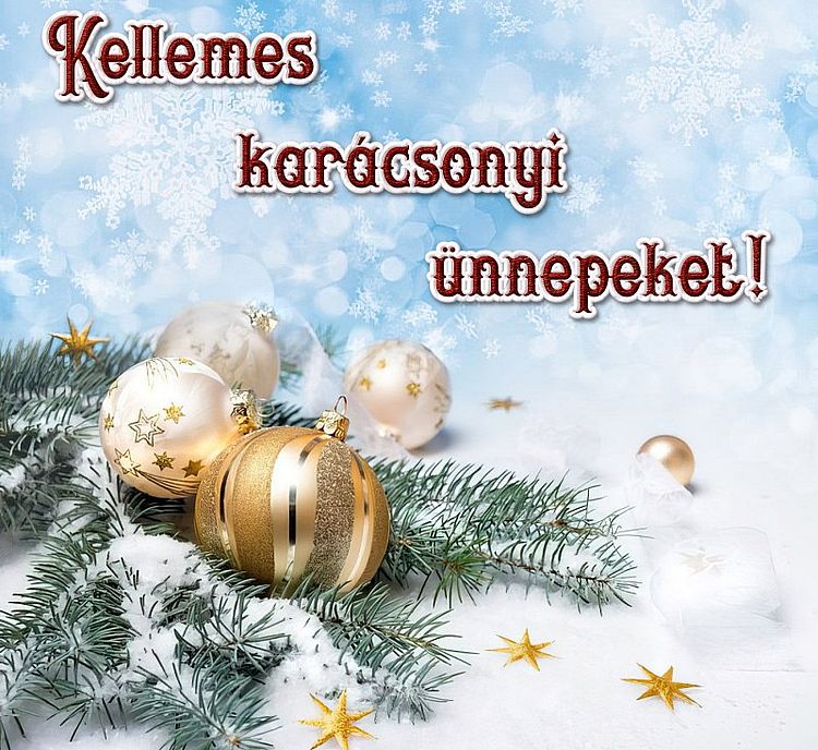 https://i.postimg.cc/sXgVyhcZ/kellemes-karacsonyi-unnepeket-2024.jpg