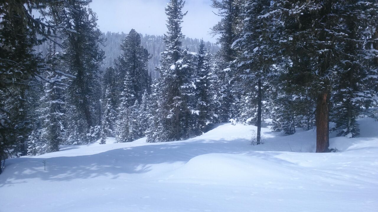 IMG_20190528_220338_411