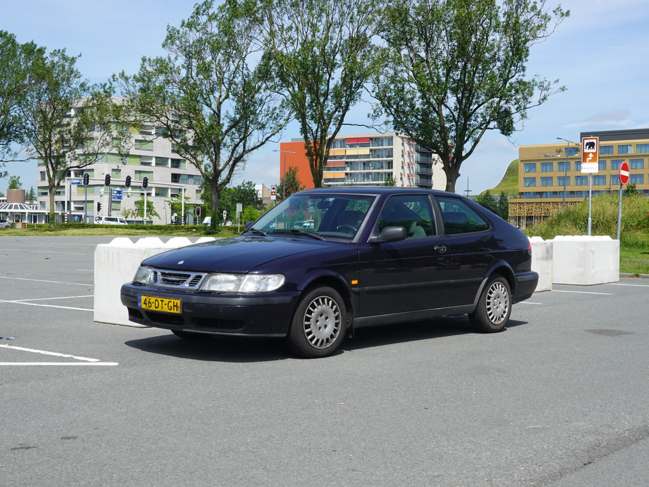 DSC08651.jpg