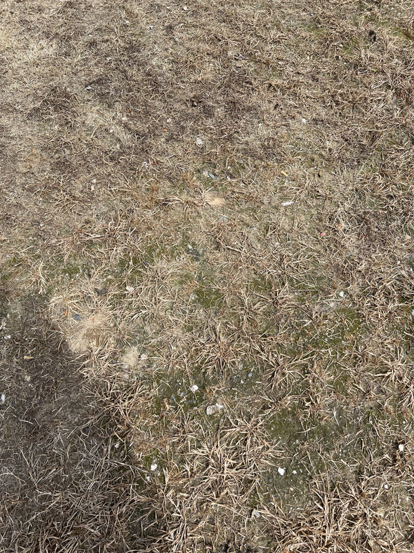 D7468430-8257-4C52-9F9D-B7014224C773