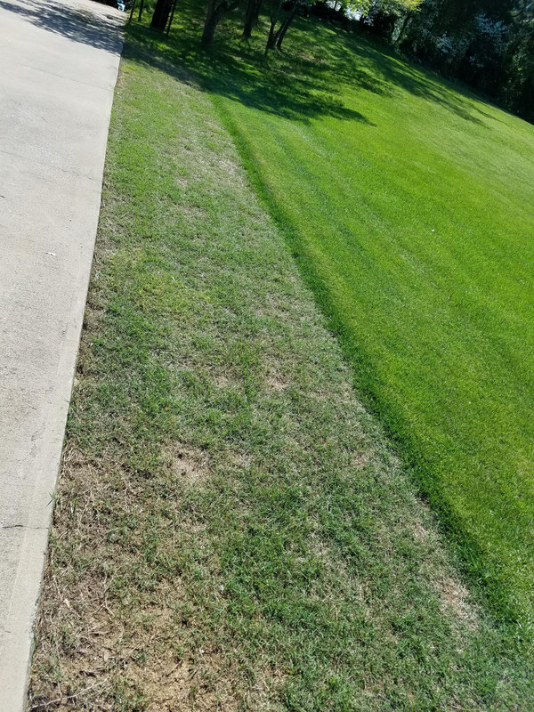 94D3CEEE-4C8E-4A61-AF24-A657C68862E1