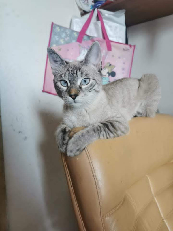 FB_IMG_1681333294406