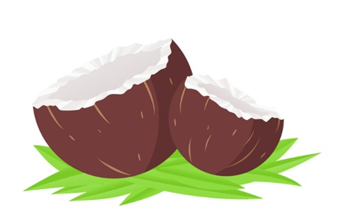 La noce di cocco dans Don Bruno Ferrero La-noce-di-cocco