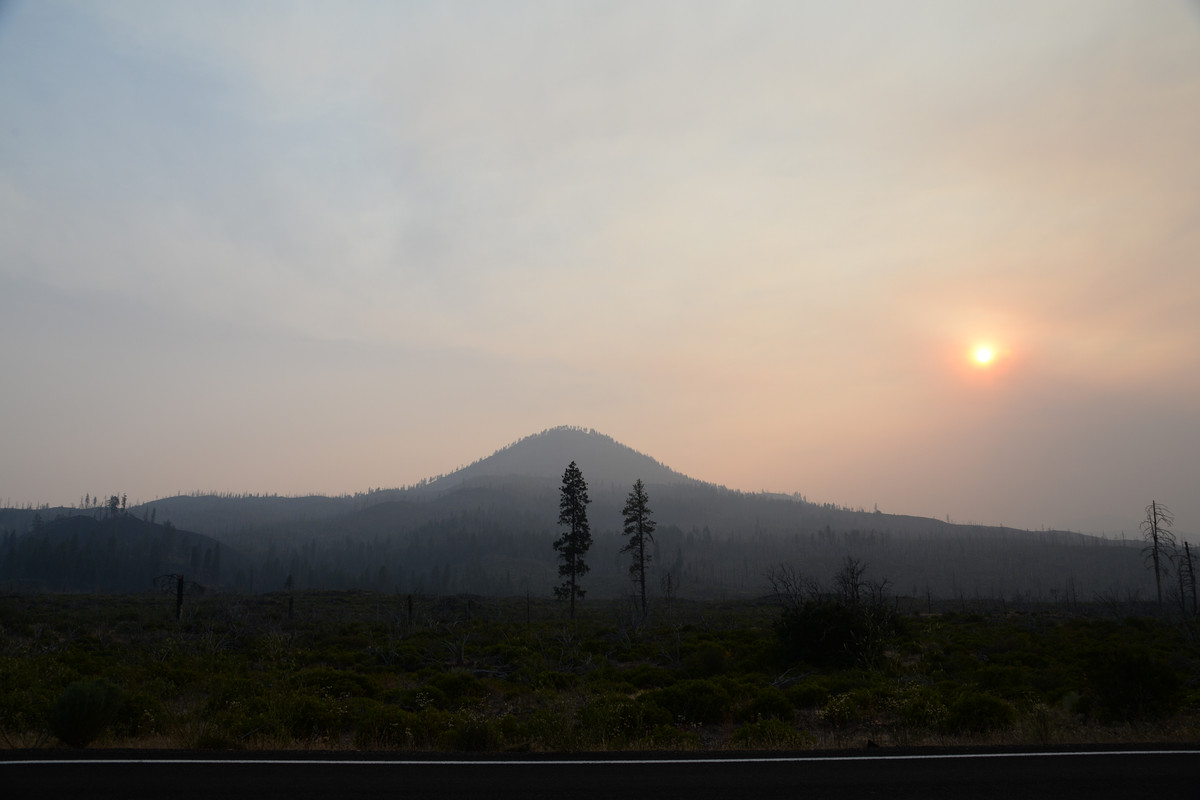 Árboles gigantes, fuegos y volcanes extintos - Oregon y California norte (2018) - Blogs de USA - Primeros días en el norte de California (18)