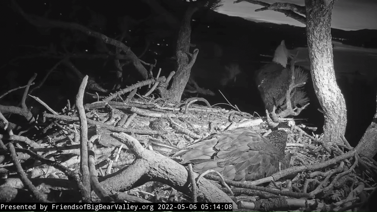 Webp.net-gifmaker (9)