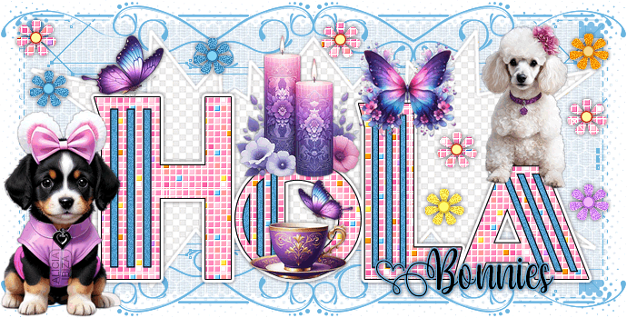 Hola Elegant Pets bonnies