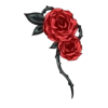 https://i.postimg.cc/sXhMjtZg/IMG-8936.webp